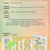 Abejitas calculadoras: LOTERÍA - Image 2
